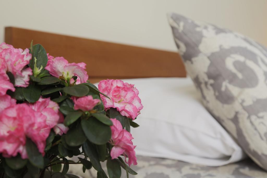 בלגרד Accommodation Tara מראה חיצוני תמונה